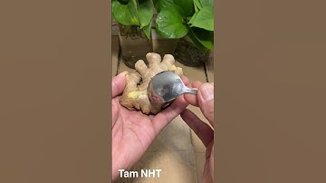 Cách gọt vỏ củ gừng #Tam NHT #