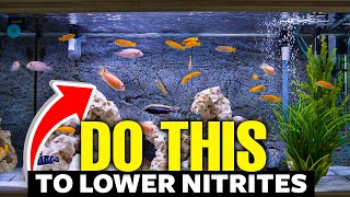 Here's How to Lower Nitrites In Aquariums FAST👨‍🔬!