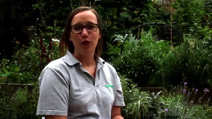 Virginia Gardiner, CEO of Loowatt, Talks Energy-Ge...