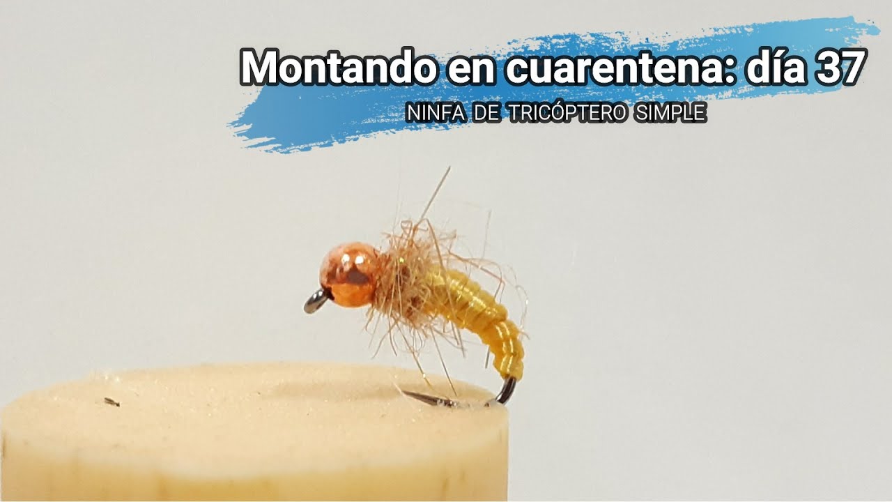 Montaje de larva de tricóptero sencilla.