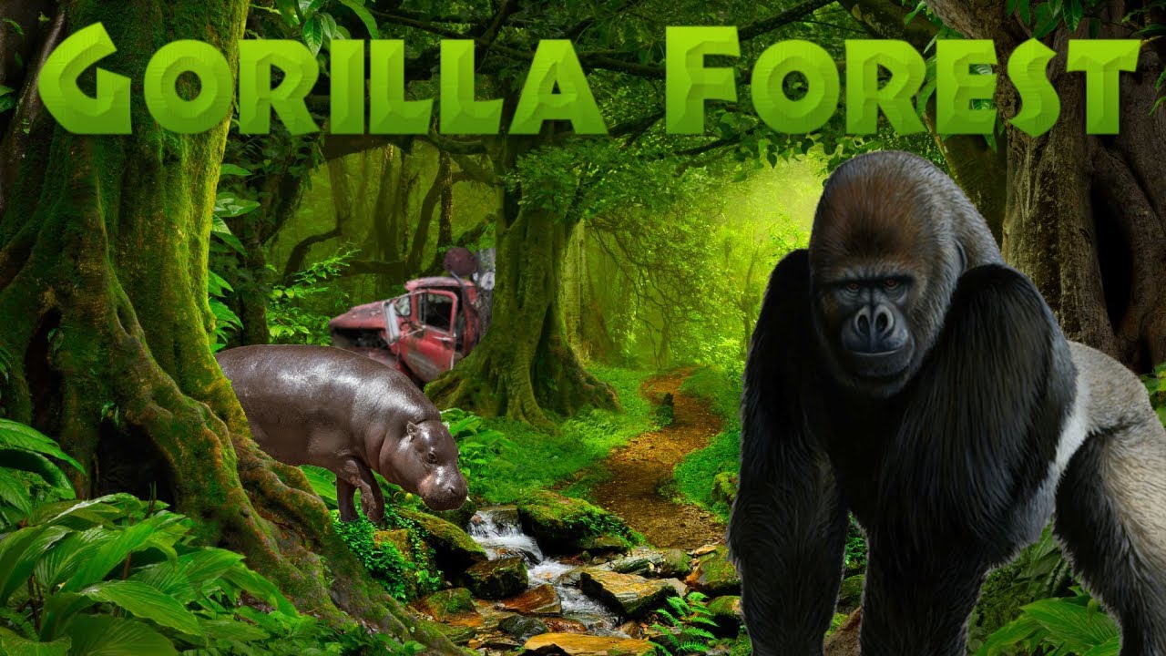 Gorilla Forest Louisville Zoo Ep. 7 YouTube