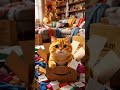 “This Cat Spent ALL His Money Online 😹💸”#Cat #FunnyCat #ScottishFold #PixarStyle #AICat #CatStory
