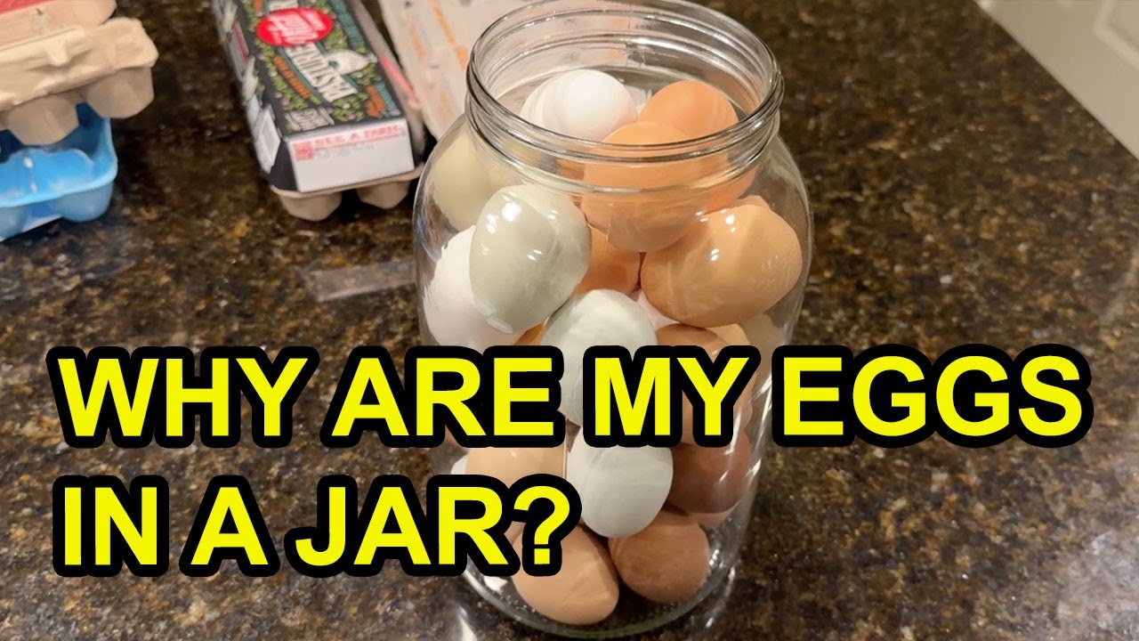 How to Keep Eggs Fresh for 12+ Months – Easier Than You Think!