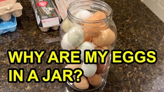 How to Keep Eggs Fresh for 12+ Months – Easier Than You Think!