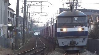 JR貨物 EF210-124号機（新鶴見）＋コキ26両　貨物列車1091レ(1時間遅れ） 2019.02.23