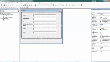 Video 1 - Preparando o Formulário - Cadastro em VBA Excel