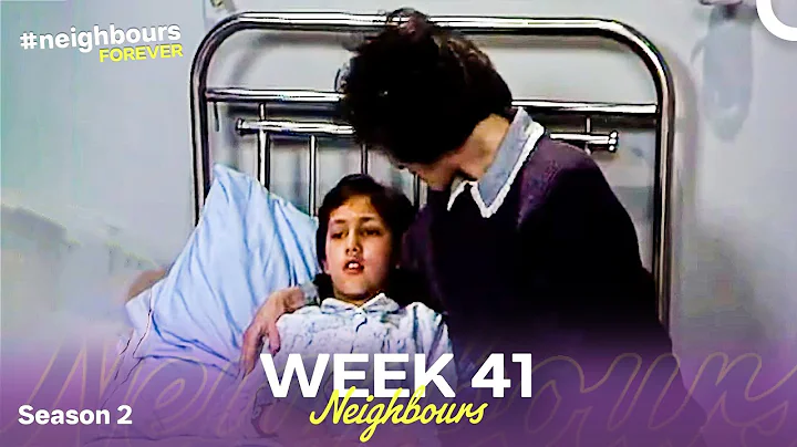 Week 41 | Episodes 371-375 | Neighbours 1986 (Season 2)