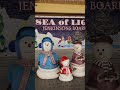Sea of Lights at Jenkinson's Boardwalk
