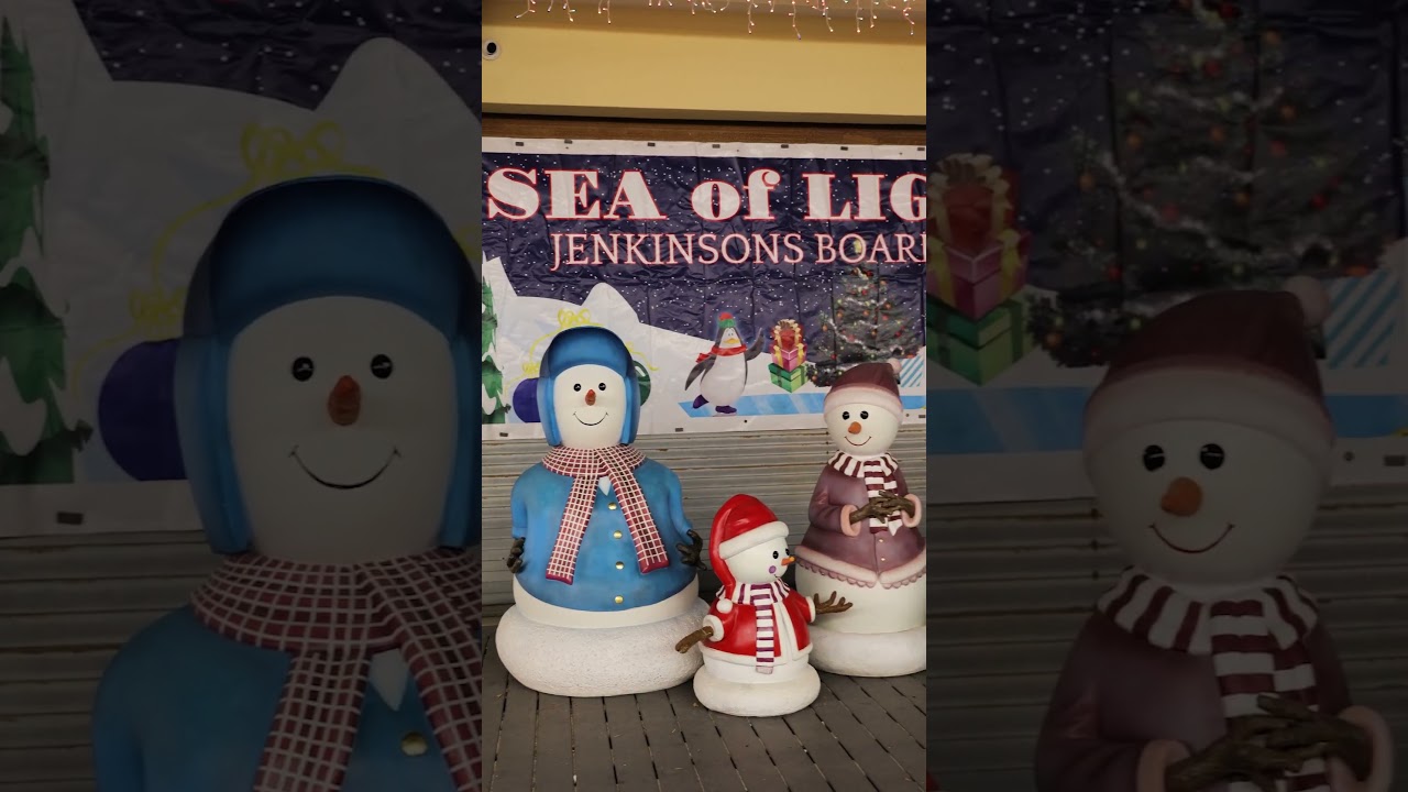 Sea of Lights at Jenkinson's Boardwalk