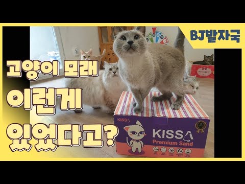 고양이모래 고민이시라구요??