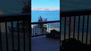 Have you seen our end of year cabin video #shorts
Full video: https://www.youtube.com/watch?v=34ZXwVBuF7w Have you seen our end of year cabin video #shorts