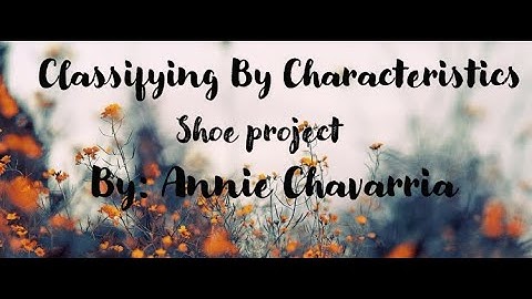 Shoe Classification Project!