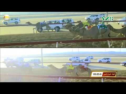 الشوط 7 شاهين ل عيسى سالم هديم الكعبي تأهيل الوثبة 2018 12 14 لقايا