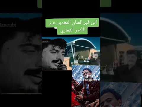موال  عبد الامير العماري