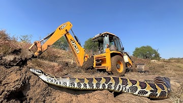 JCB Stuck In Deep Mud | Jcb Working A Giant Snake Comes | Jcb Snake Video