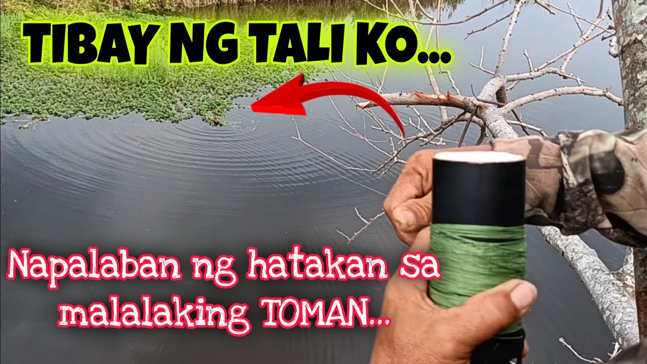 LAKAS SA HATAKAN NG MALALAKING TOMAN PERO DI NYA KAYANG PUTULIN ANG TALI KO/MHEDDS JOE TV/VLOG#550