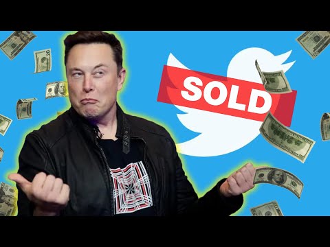 Why Twitter Employees Hate Elon Musk