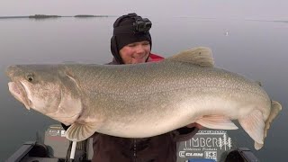 Giant Early Season Lake Trout! #BIGFISH #fishingbloopers #livescopelaketrout #landlockedsalmon