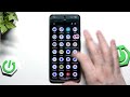 How to Use App Bubbles for Multitasking on Android 17 (Pixel 8)