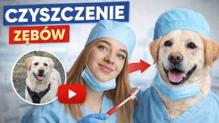 Dlaczego Zdecydowaliśmy Się Na Czyszczenie Zębów U Bazyla?