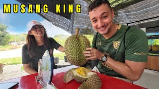 Road Trip To Malaysia's Best Durian 🇲🇾