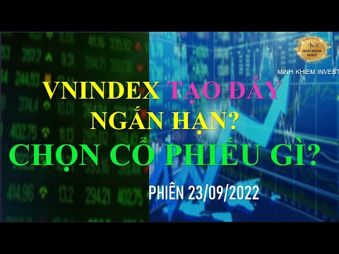 Video VNINDEX tạo đáy chưa? cổ phiếu giữ trend hồi trước,... - youtube
