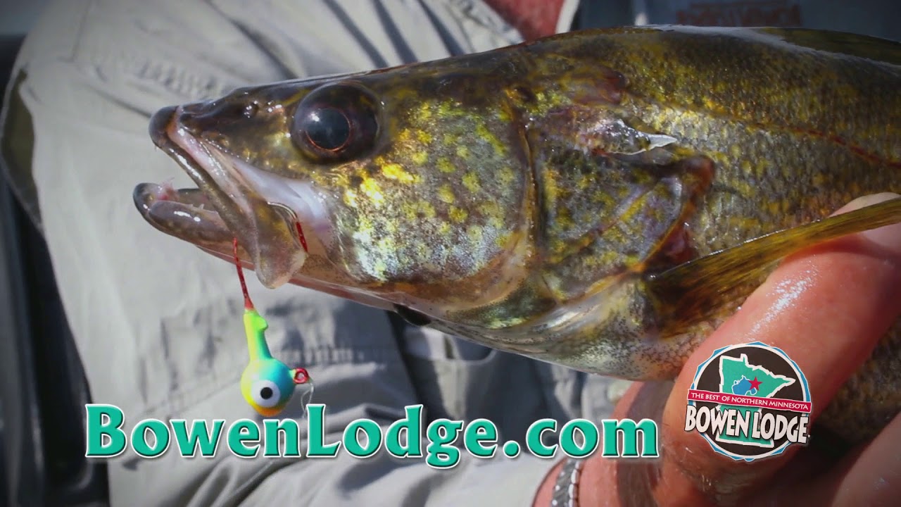 Fishing Tips How to Use a Jig and Minnow with Jeff Skelly YouTube