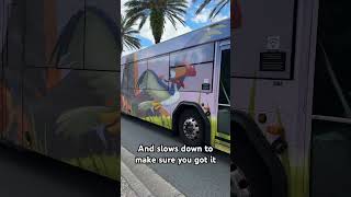Sometimes the best magic is outside of the parks.  #disneycast #disneybus #disneyside #disneymagic