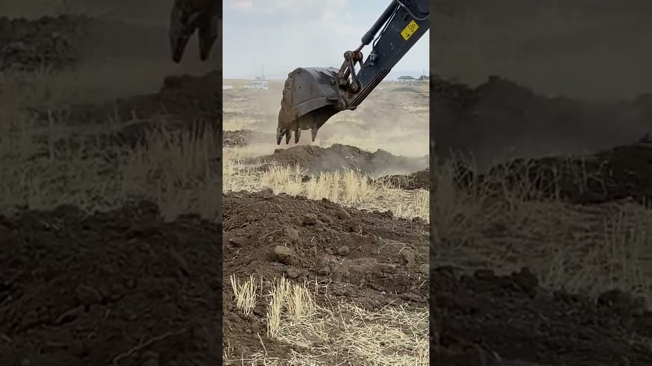 Ceviz Bahçe Kurulumu ve Fidan Çukuru Hazırlığı