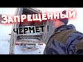 Запрещённый чермет! Лёгкие деньги ! Заработок за 1 день! Зимний метало коп!