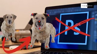 NOT RELEASED: Google's Epic AI Photo Editing! screenshot 3
