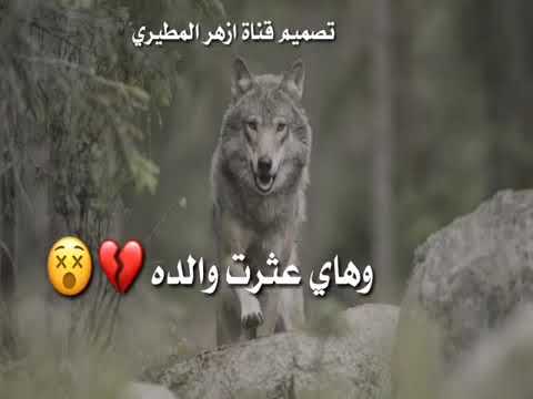 عن الصديق الي يطعن بالظهر