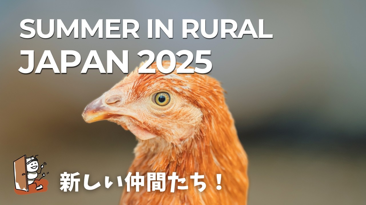 【2025夏】夫婦で田舎暮らし 鶏はじめました | Summer in Rural Japan 2025