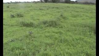 VCRA Pansai Plotting C.wmv