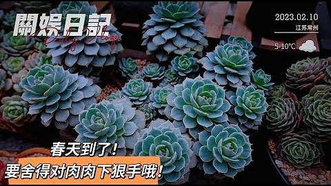 关娱日记：春天来了！要舍得对肉肉下狠手哦！把大长腿都撸出来好处多多！ - 天天要闻