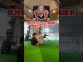 腹筋よりバカ痩せる#ダイエット #脚痩せ #背中痩せ #shorts