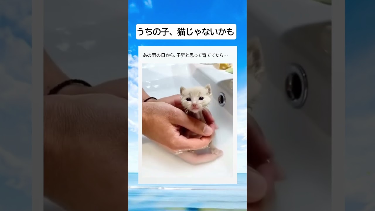 この動画について、ぜひコメント欄で皆さんのご意見を聞かせてください。#pets #shorts #おすすめ #赤ちゃん