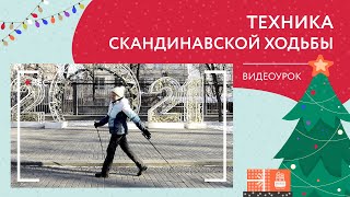 Техника скандинавской ходьбы | Новогодний видеоурок