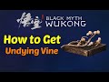 How to Get Undying Vine (Best Farm Location) - Black Myth Wukong
