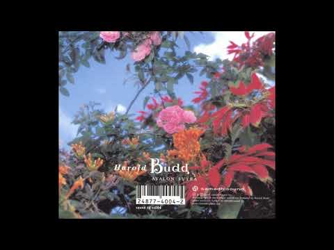 【レア】【輸入盤】HAROLD BUDD BUDDBOX BEATINK.COM / Budd Box (Black Edition)