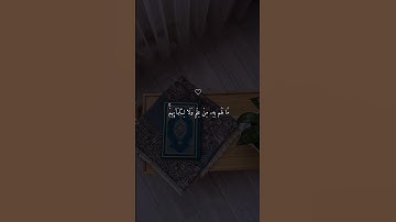 سورة الكهف 💙#حالات_دينية #قرآن #حالات #حالات_واتساب #حالات_واتس