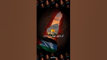 متى نصر الله ألا إن نصر الله قريب | من سورة البقرة | فارس عباد