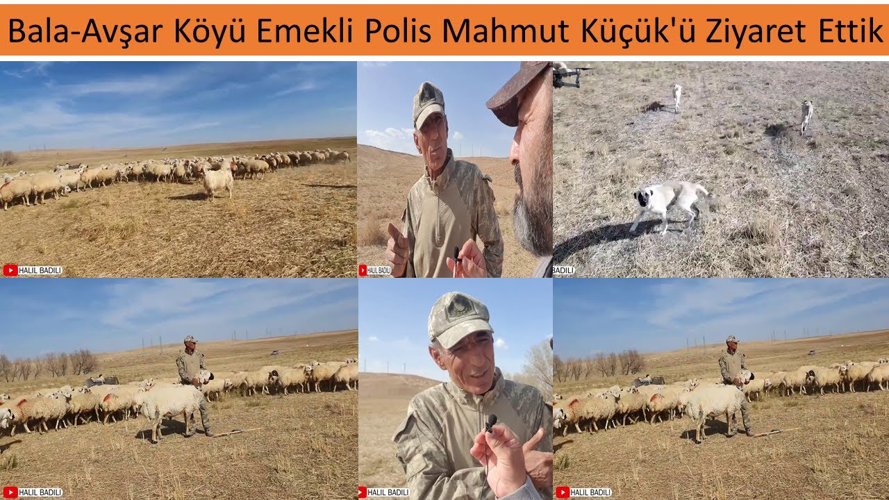 Bala Avşar Köyü - Emekli Polis Mahmut Küçük'ü Ziyaret Ettik