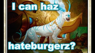 Everyone Hates AER, Wizards, and Cats Now Apparently