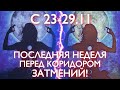 С 23-29 НОЯБРЯ - ПОСЛЕДНЯЯ НЕДЕЛЯ ПЕРЕД КОРИДОРОМ ЗАТМЕНИЙ! | ВЕДИЧЕСКАЯ АСТРОЛОГИЯ