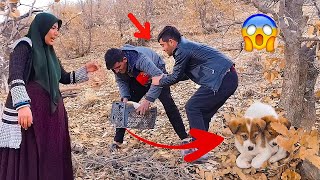 Intense conflict and the theft of Sadegh's dogs