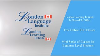 Lesson 2 LLI Mini Series Beginner ESL class