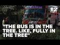 UTA bus operator loses consciousness, crashes into tree in Clearfield