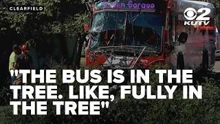 UTA bus operator loses consciousness, crashes into tree in Clearfield