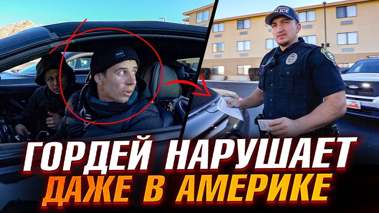 Авто димы гордея